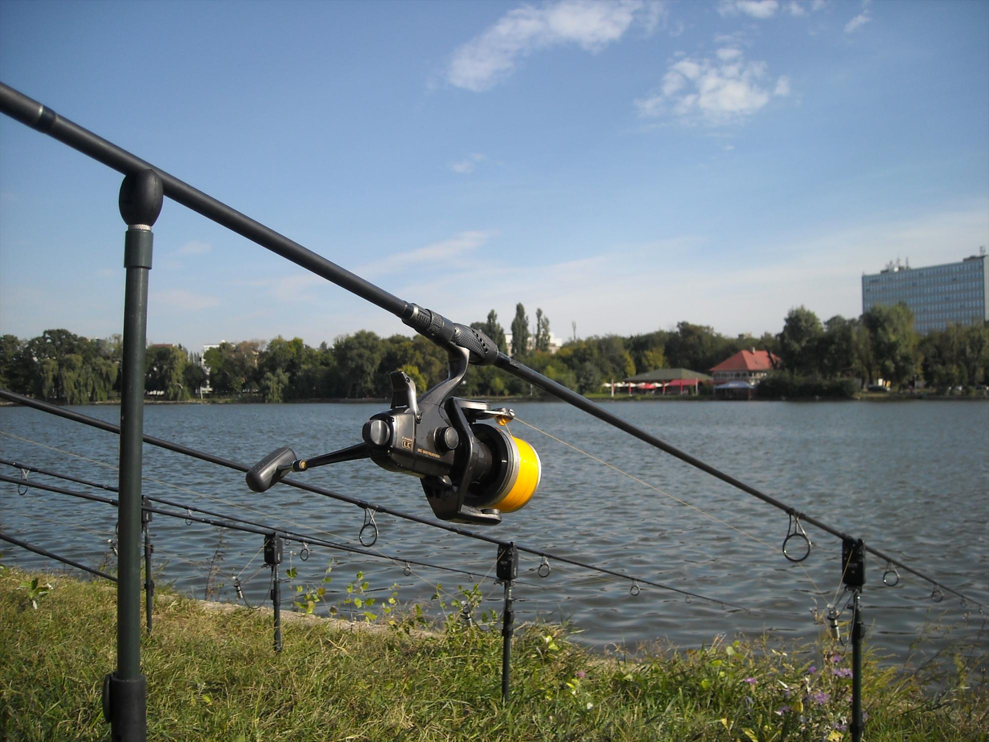 Cupa Bucovina - Floreasca 2010 - dscn8636.jpg